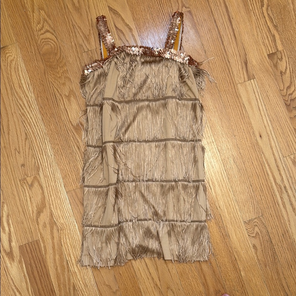 Taylor Swift Fearless Dress